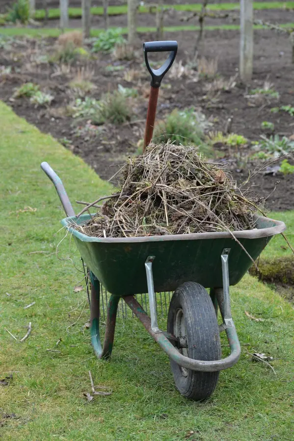 Wheelbarrow and Spade